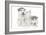 Puppies 001-Andrea Mascitti-Framed Photographic Print