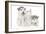 Puppies 001-Andrea Mascitti-Framed Photographic Print