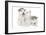 Puppies 001-Andrea Mascitti-Framed Photographic Print