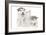 Puppies 001-Andrea Mascitti-Framed Photographic Print