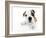 Puppies 009-Andrea Mascitti-Framed Photographic Print