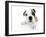 Puppies 009-Andrea Mascitti-Framed Photographic Print