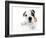 Puppies 009-Andrea Mascitti-Framed Photographic Print