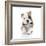 Puppies 021-Andrea Mascitti-Framed Photographic Print