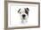 Puppies 023-Andrea Mascitti-Framed Photographic Print