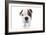 Puppies 023-Andrea Mascitti-Framed Photographic Print