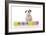 Puppies 024-Andrea Mascitti-Framed Photographic Print