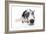 Puppies 025-Andrea Mascitti-Framed Photographic Print