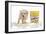 Puppies 028-Andrea Mascitti-Framed Photographic Print