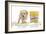 Puppies 028-Andrea Mascitti-Framed Photographic Print