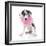 Puppies 031-Andrea Mascitti-Framed Photographic Print