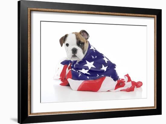 Puppies 032-Andrea Mascitti-Framed Photographic Print