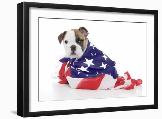 Puppies 032-Andrea Mascitti-Framed Photographic Print