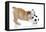 Puppies 033-Andrea Mascitti-Framed Premier Image Canvas