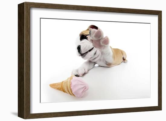 Puppies 034-Andrea Mascitti-Framed Photographic Print
