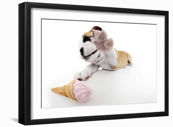 Puppies 034-Andrea Mascitti-Framed Photographic Print