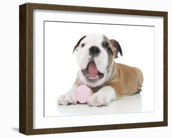 Puppies 035-Andrea Mascitti-Framed Photographic Print