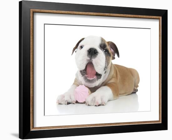 Puppies 035-Andrea Mascitti-Framed Photographic Print