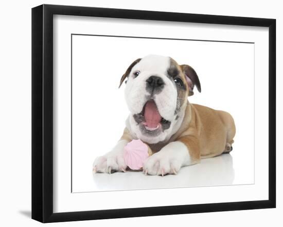 Puppies 035-Andrea Mascitti-Framed Photographic Print