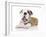 Puppies 035-Andrea Mascitti-Framed Photographic Print