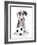 Puppies 036-Andrea Mascitti-Framed Photographic Print
