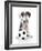Puppies 036-Andrea Mascitti-Framed Photographic Print