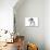 Puppies 037-Andrea Mascitti-Photographic Print displayed on a wall