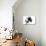 Puppies 042-Andrea Mascitti-Photographic Print displayed on a wall