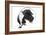 Puppies 042-Andrea Mascitti-Framed Photographic Print