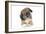 Puppies 051-Andrea Mascitti-Framed Photographic Print