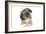 Puppies 051-Andrea Mascitti-Framed Photographic Print