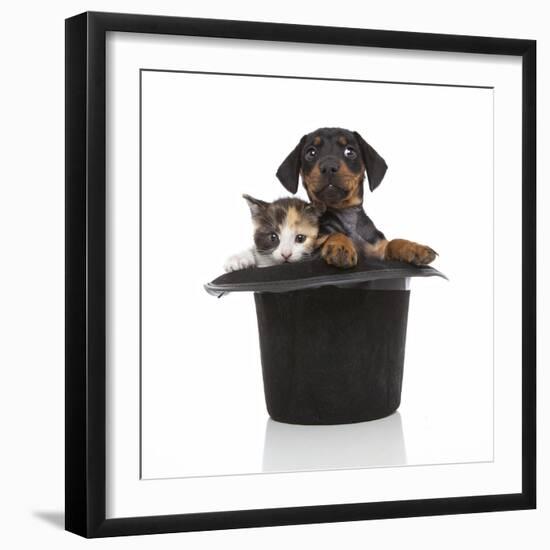 Puppies 052-Andrea Mascitti-Framed Photographic Print