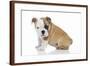 Puppies 056-Andrea Mascitti-Framed Photographic Print