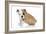 Puppies 056-Andrea Mascitti-Framed Photographic Print