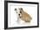 Puppies 056-Andrea Mascitti-Framed Photographic Print