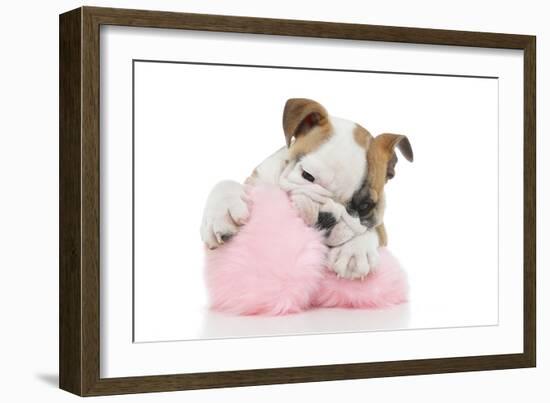 Puppies 057-Andrea Mascitti-Framed Photographic Print