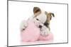 Puppies 057-Andrea Mascitti-Mounted Photographic Print