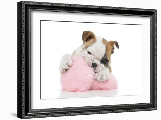 Puppies 057-Andrea Mascitti-Framed Photographic Print