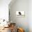 Puppies 062-Andrea Mascitti-Photographic Print displayed on a wall