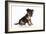 Puppies 064-Andrea Mascitti-Framed Photographic Print