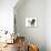Puppies 069-Andrea Mascitti-Photographic Print displayed on a wall