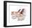 Puppies and Kittens II-D^ Patrian-Framed Art Print