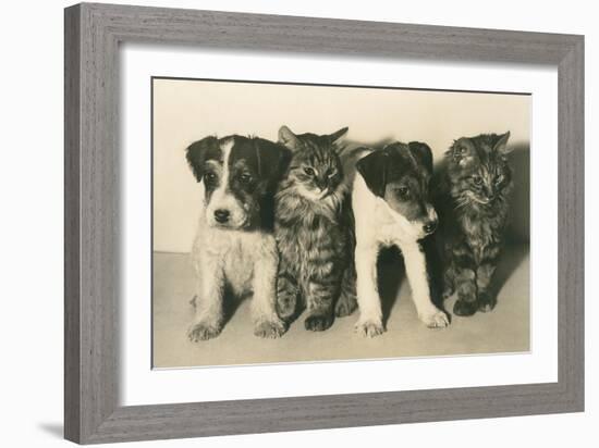 Puppies and Kittens-null-Framed Art Print