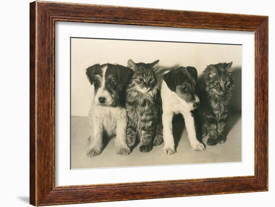 Puppies and Kittens-null-Framed Art Print