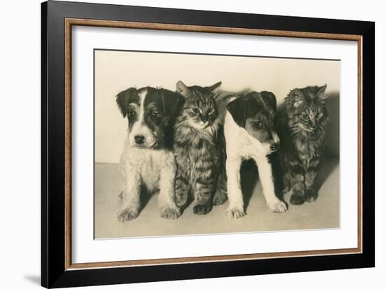 Puppies and Kittens-null-Framed Art Print