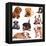 Puppies of Different Breeds, Dachshund, Shar Pei, Rottweiler, Bulldog, French Bulldog.-Lilun-Framed Premier Image Canvas