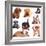 Puppies of Different Breeds, Dachshund, Shar Pei, Rottweiler, Bulldog, French Bulldog.-Lilun-Framed Photographic Print