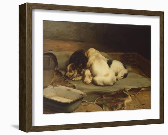 Puppies Sleeping-William Henry Hamilton Trood-Framed Giclee Print