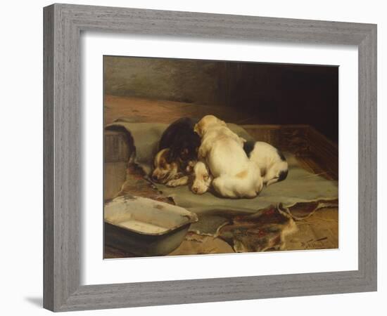 Puppies Sleeping-William Henry Hamilton Trood-Framed Giclee Print