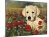 Puppy And Poppies-Bill Makinson-Mounted Giclee Print